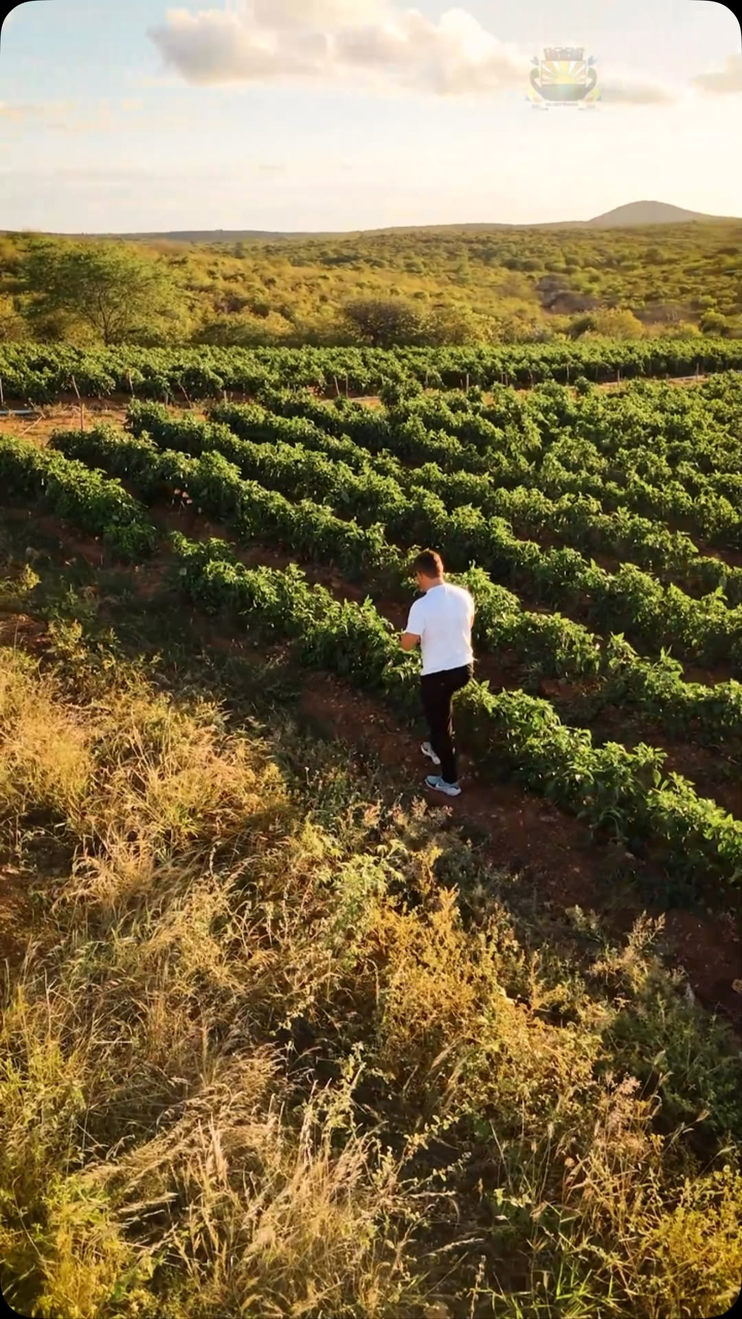 Câmara de Cabaceiras realiza Sessão Especial em homenagem ao Dia do Agricultor